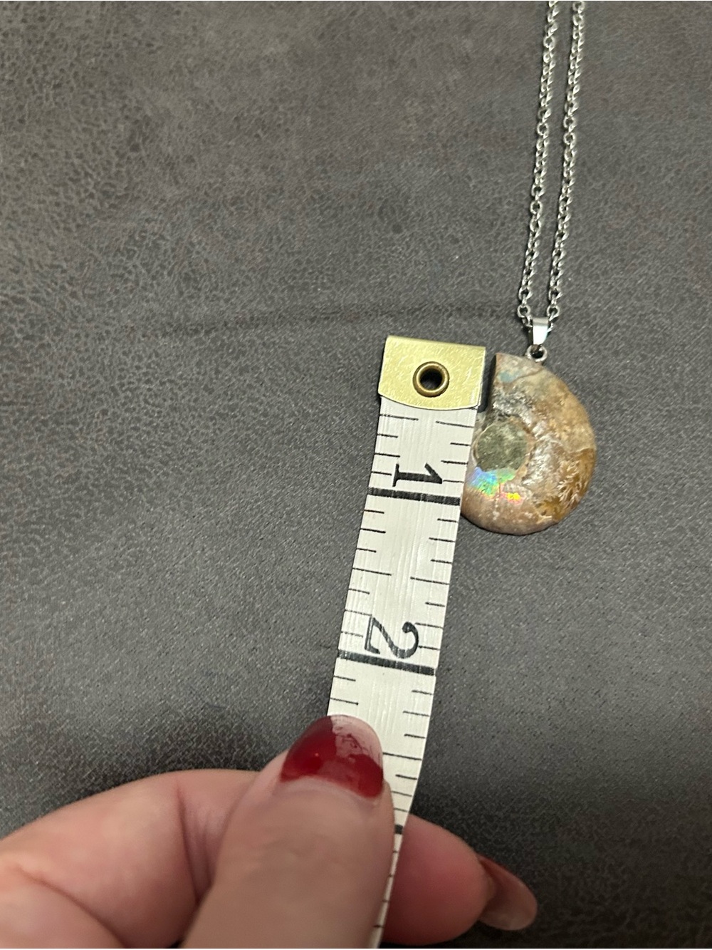 Fossilized Shell Pendant Necklace in Brown and Green